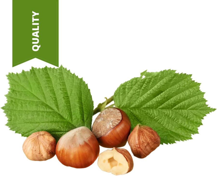 Hazelnut virgin oil 250ml